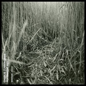 香港特级黄色操逼视频
